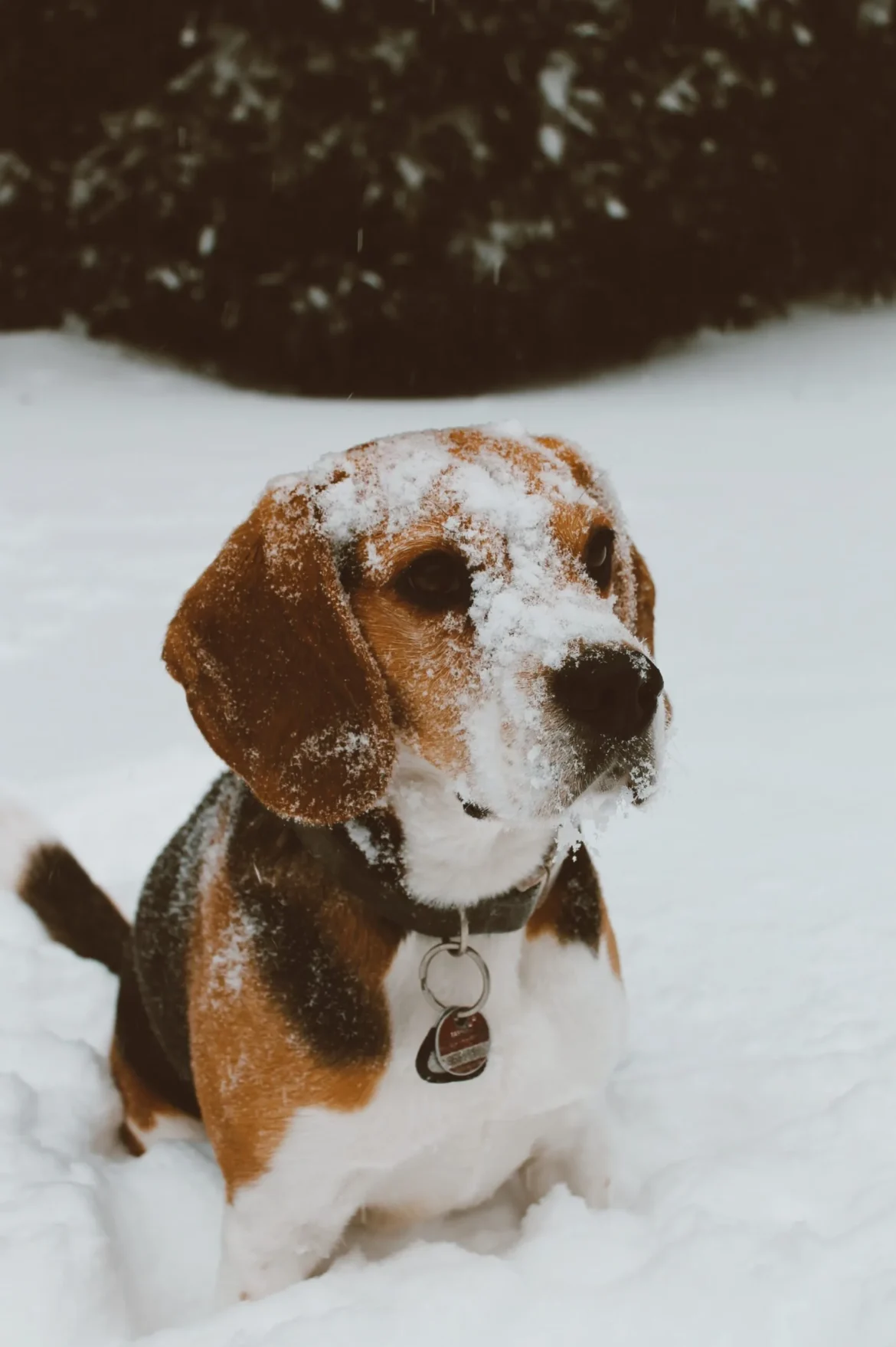 hanna malin hegner v5ui9muxusq unsplash